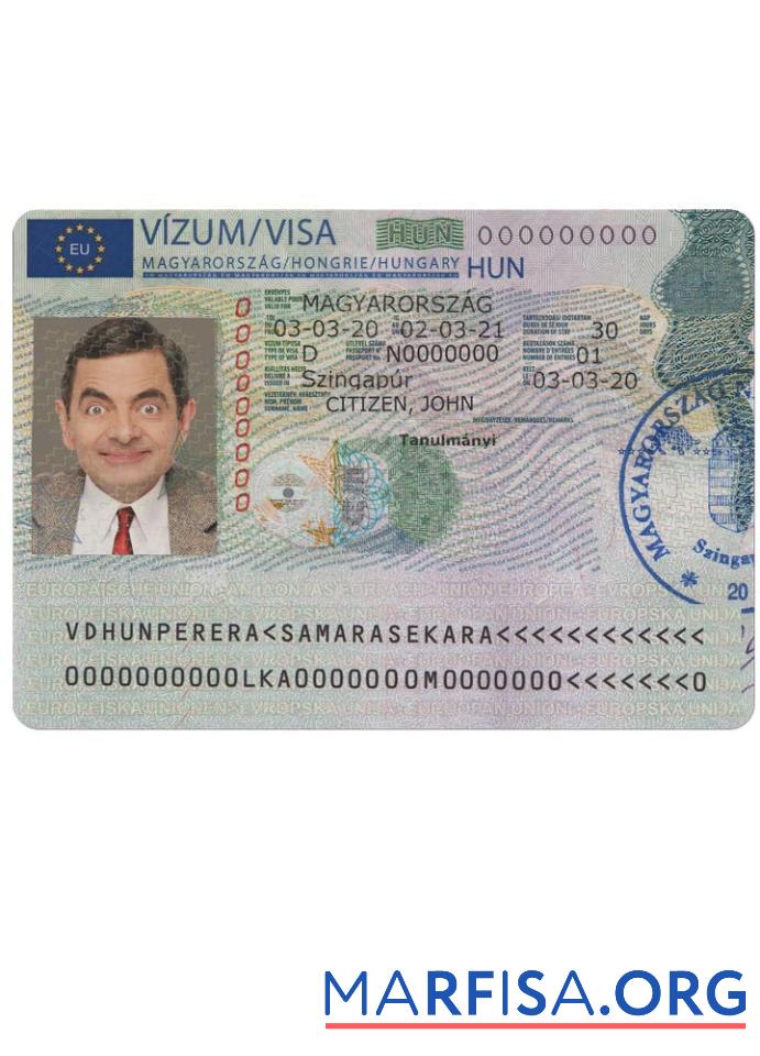 Blank Hungary travel visa version 2 real example